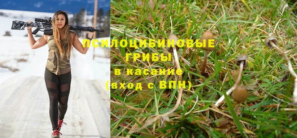 индика Лиски