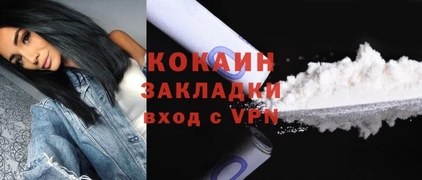 соль ск Сосновый Бор