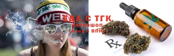 индика Лиски