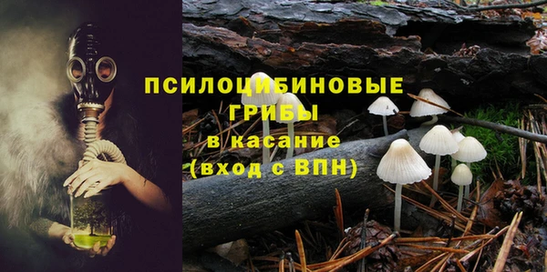 apvp Липки