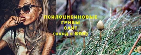 индика Лиски