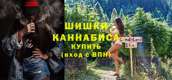 индика Лиски