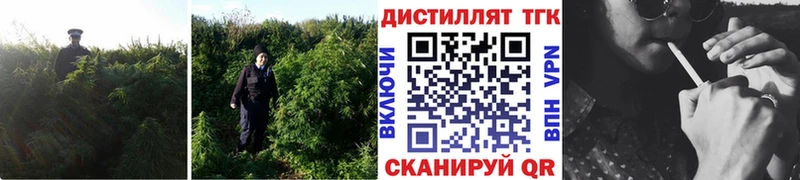 купить   Оренбург  ТГК жижа 